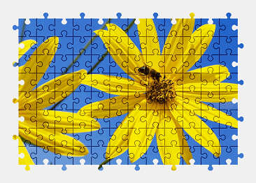 Jigsaw puzzle online yellow,flower,nature,colorful