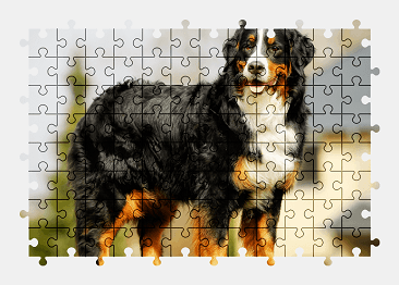 Jigsaw puzzle online bernese-mountain-dog,dog,animal,nature,colorful