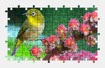 Jigsaw puzzle online bird,animal,flower,colorful,nature