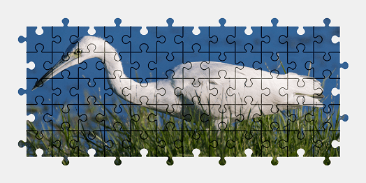 Jigsaw puzzle online bird,animal,nature