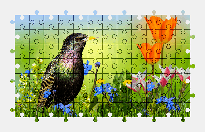 Jigsaw puzzle online bird,animal,flower,colorful,nature