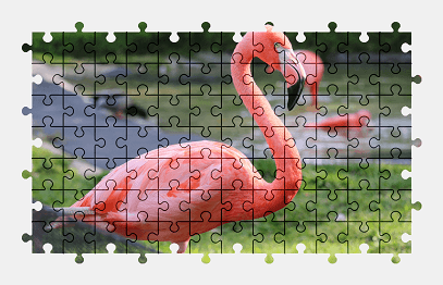 Jigsaw puzzle online bird,flamingo,animal,pink,nature,colorful