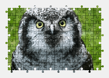 Puzzle 3D Gufo Cristallo 1000 Pezzi – Uccello Gioiello Fiori – Poster Incluso 60x60 Cm