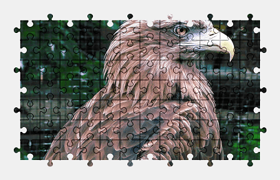 Jigsaw puzzle online eagle,bird,animal,predator