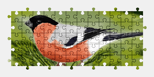Jigsaw puzzle online bullfinch,bird,animal,painting,art,nature,colorful