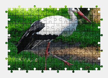 Jigsaw puzzle online bird,stork,animal,nature,colorful