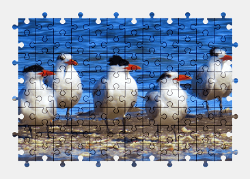 Jigsaw puzzle online bird,animal,water