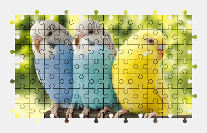 Jigsaw puzzle online bird,colorful,animal,nature