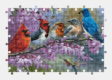 Jigsaw puzzle online bird,painting,colorful,animal