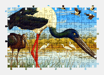 Jigsaw puzzle online bird,painting,colorful,animal,nature