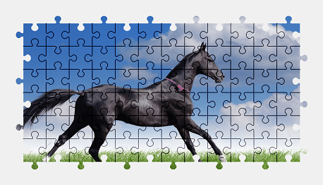 Jigsaw puzzle online black,horse,animal,nature,colorful