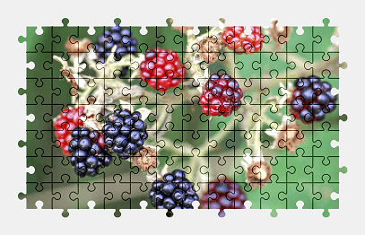 Jigsaw puzzle online blackberry,fruit,berry,food