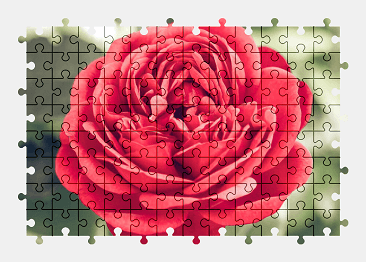 Jigsaw puzzle online red,rose,flower,nature,colorful