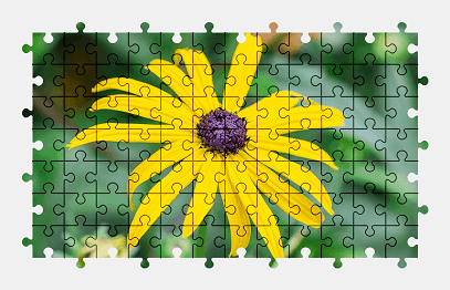 Jigsaw puzzle online yellow,flower,bloom,blossom,nature,summer,colorful