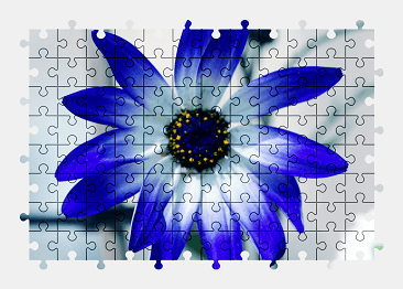 Jigsaw puzzle online blue,flower,colorful