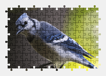 Jigsaw puzzle online bird,animal,colorful,jay