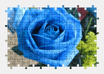 Jigsaw puzzle online blue,rose,flower,colorful
