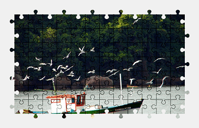 Jigsaw puzzle online fishing,boat,water,bird,nature,vehicle