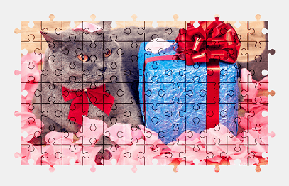Jigsaw puzzle online british-shorthair,cat,animal,colorful,pet