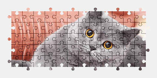 Jigsaw puzzle online british-shorthair,cat,animal,pet,colorful