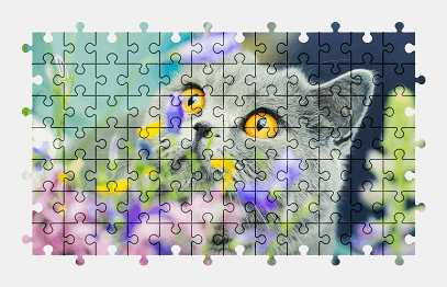 Jigsaw puzzle online british-shorthair,cat,animal,colorful