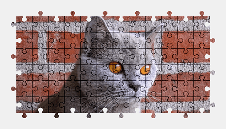 Jigsaw puzzle online british-shorthair,cat,animal