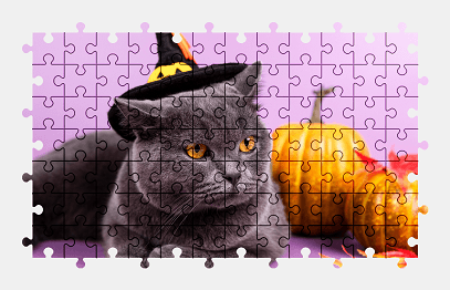 Jigsaw puzzle online british-shorthair,halloween,cat,animal,colorful
