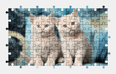 Jigsaw puzzle online british-shorthair,kitten,animal,pet,cat