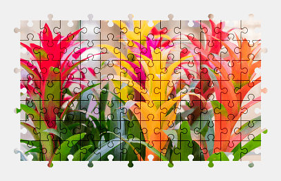 Jigsaw puzzle online plant,colorful