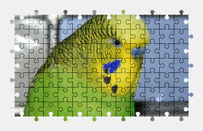 Jigsaw puzzle online green,parrot,bird,animal,colorful