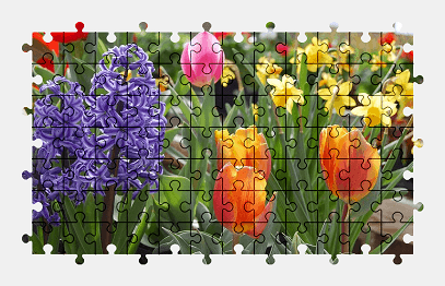 Jigsaw puzzle online flower,colorful,spring,garden,plant