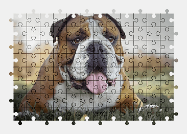 Jigsaw puzzle online bulldog,animal,dog