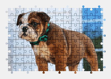 Jigsaw puzzle online bulldog,puppy,dog,animal,cute,pet,colorful