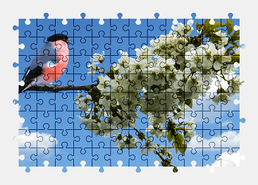 Jigsaw puzzle online bullfinch,bird,animal,nature,colorful