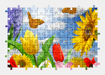 Jigsaw puzzle online butterfly,animal,flower,sky,sun,colorful