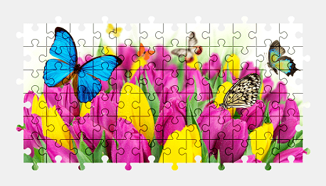 Jigsaw puzzle online butterfly,tulip,flower,animal,colorful