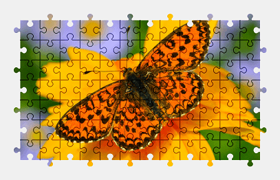 Jigsaw puzzle online butterfly,animal,flower,nature