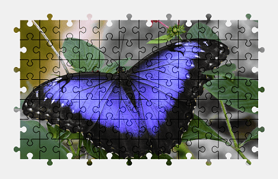 Jigsaw puzzle online blue,butterfly,animal,colorful