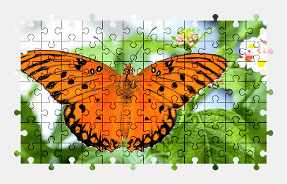 Jigsaw puzzle online orange,butterfly,animal,flower,garden,nature,colorful