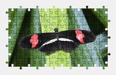 Jigsaw puzzle online butterfly,animal,nature,colorful