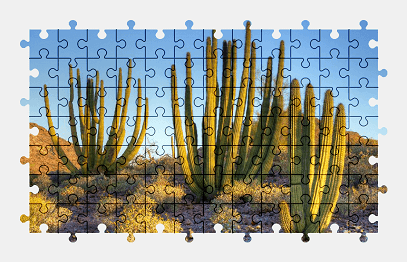 Jigsaw puzzle online cactus,plant,nature,colorful