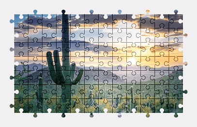 Jigsaw puzzle online cactus,plant,nature,landscape,colorful