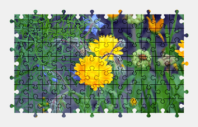 Jigsaw puzzle online calendula,flower,garden,nature