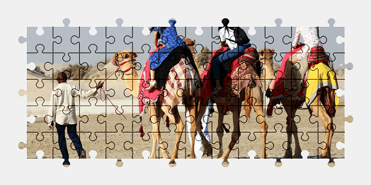 Jigsaw puzzle online camel,qatar,animal,colorful