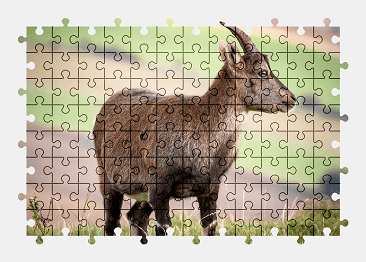 Jigsaw puzzle online nature,animal,goat,mountains