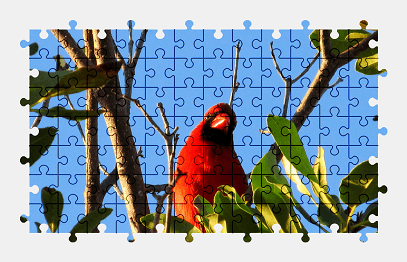 Jigsaw puzzle online red,cardinal,bird,animal,wildlife,tree,branch,nature,colorful