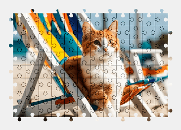 Jigsaw puzzle online cat,animal,beach,colorful,nature