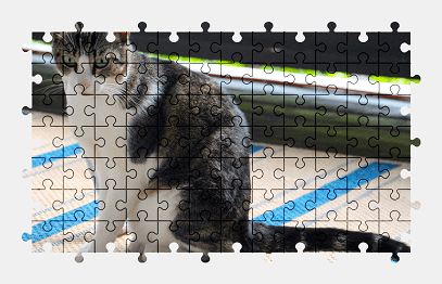 Jigsaw puzzle online cat,animal,colorful