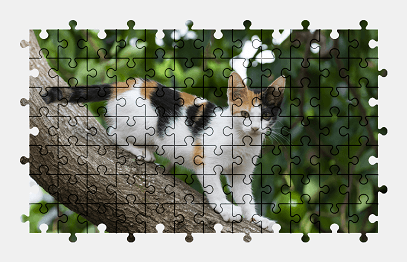 Jigsaw puzzle online cat,animal,tree,nature,colorful