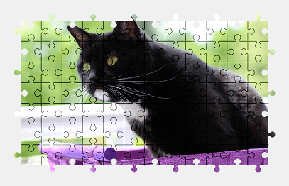 Jigsaw puzzle online cat,animal,colorful